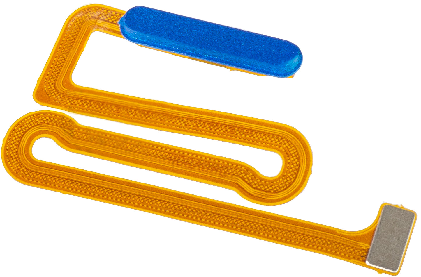 Fingeravtryckssensor Samsung Galaxy A12 Nacho A127 / M12 M127 / A12 A125, med band, Blå