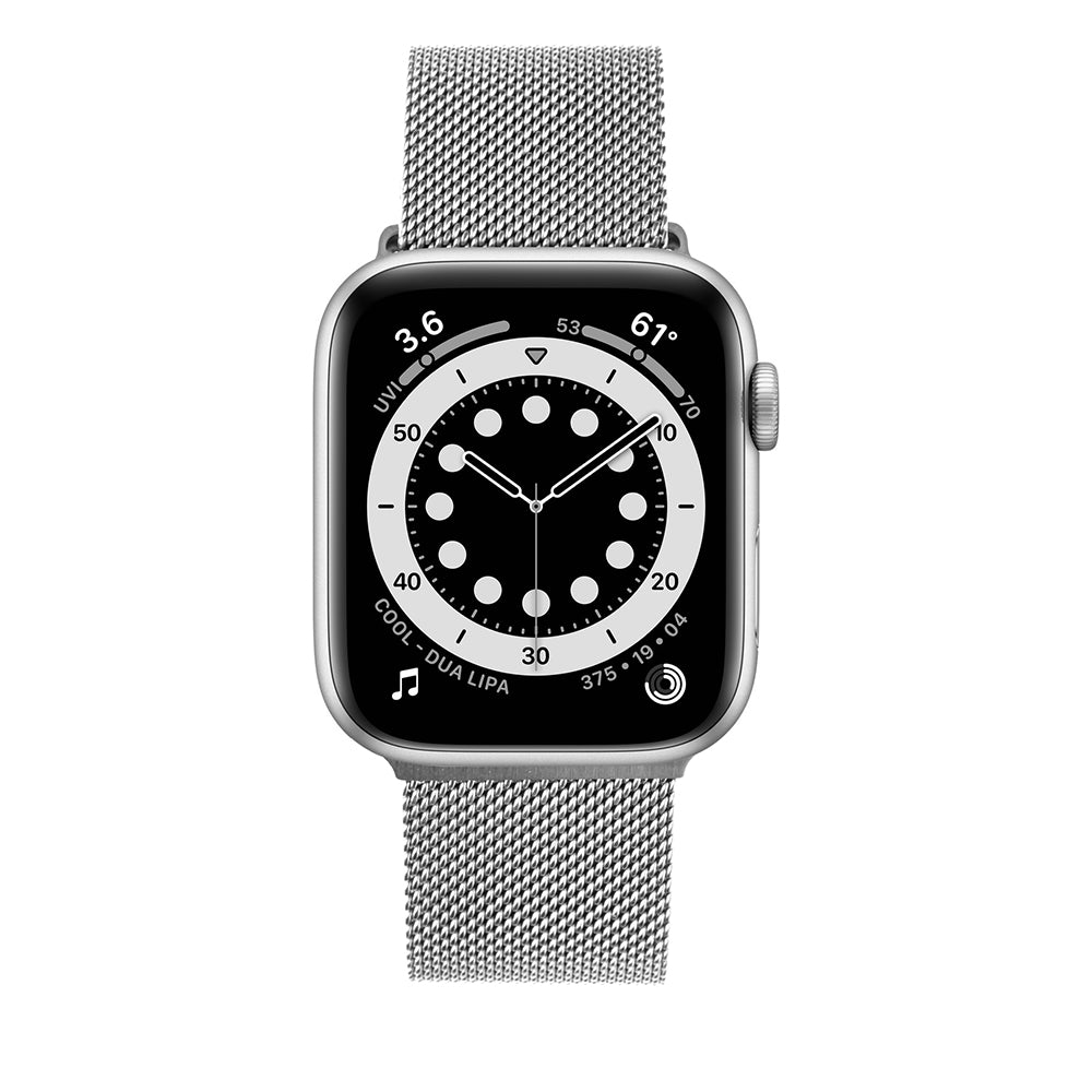 Fixed Mesh-armband för Apple Watch 42mm / 41mm / 40mm / 38mm Series, Silver