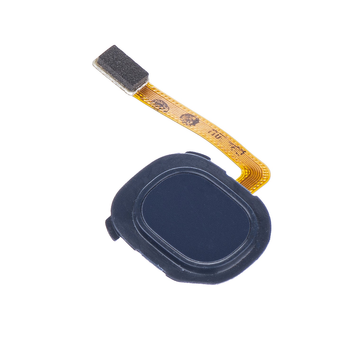 Fingeravtryckssensor Samsung Galaxy Galaxy A20 A205 / A20e A202, med band, Blå
