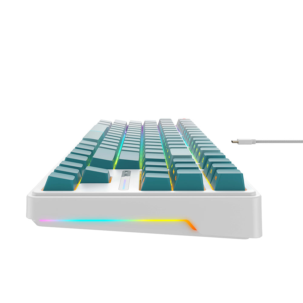 Gamingtangentbord Wired USB HAVIT KB901L, RGB, 1.8m, Vit Grön