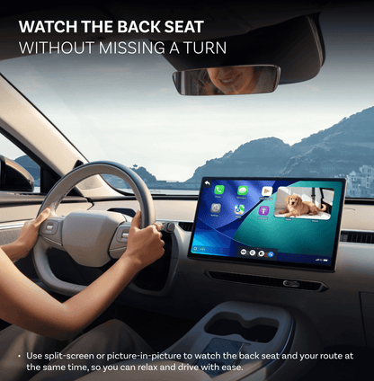 Ottocast Cabin Care bil Carplay-adapter för Apple iPhone-serien CA520-T