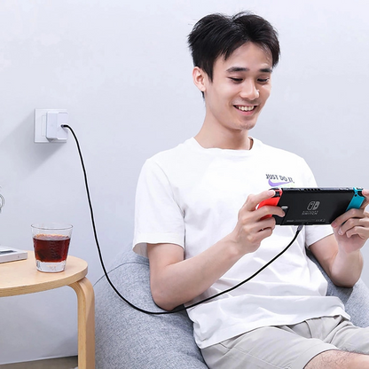 USB-C Data and Charging Cable - USB-C UGREEN US316, 100W, 3m, Gray