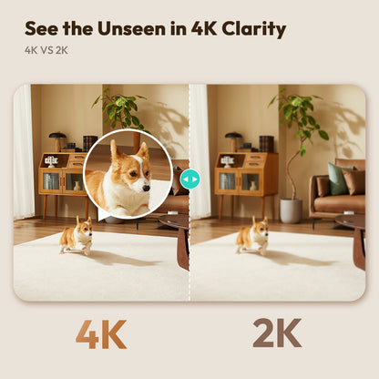 Övervakningskamera Botslab 3C Pro C224, Wi-Fi, 4K, Inomhus 