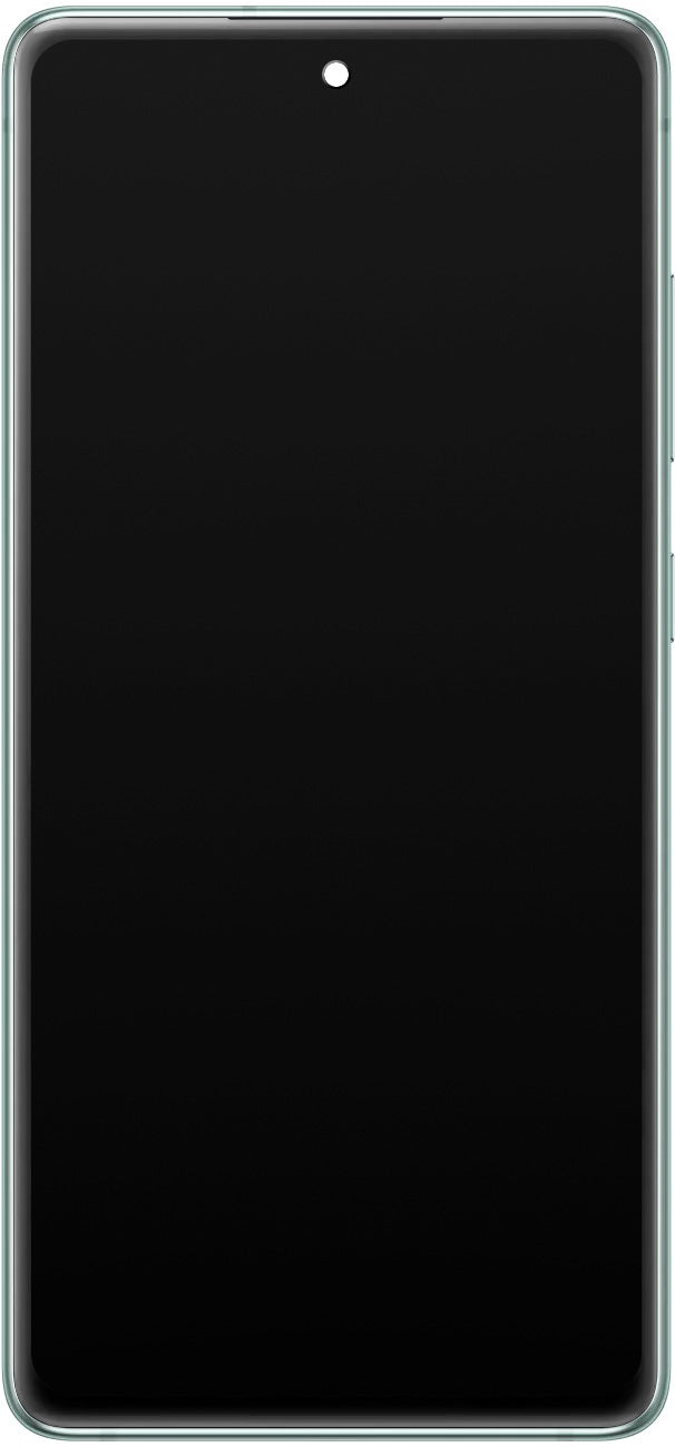 Samsung Galaxy S20 FE 5G Touchscreen Display G781, med ram, Grön (Cloud Mint), Service Pack GH82-24214D GH82-24214D