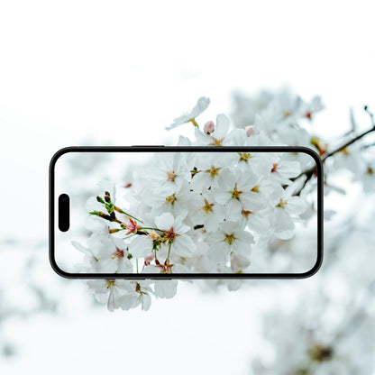 Skyddsfilm för bakre kameran Anank AR för Apple iPhone 17 Air, Härdat glas, Flerfärgad