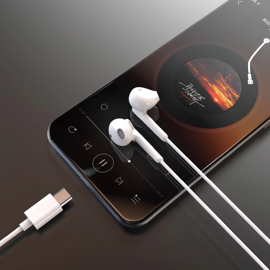 Handsfree USB-C Dudao X3C, Vit