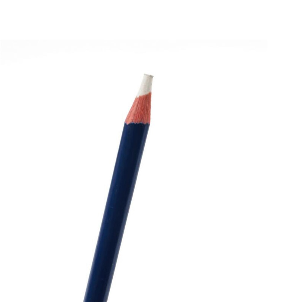 Antistatisk Borste Gold Energy Nr.7012 2in1