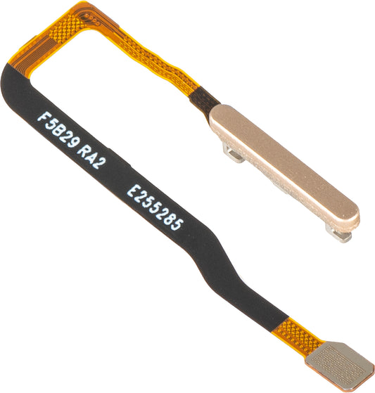 Fingeravtryckssensor Honor Magic V6, med band, Guld, Service Pack 2310AAKT