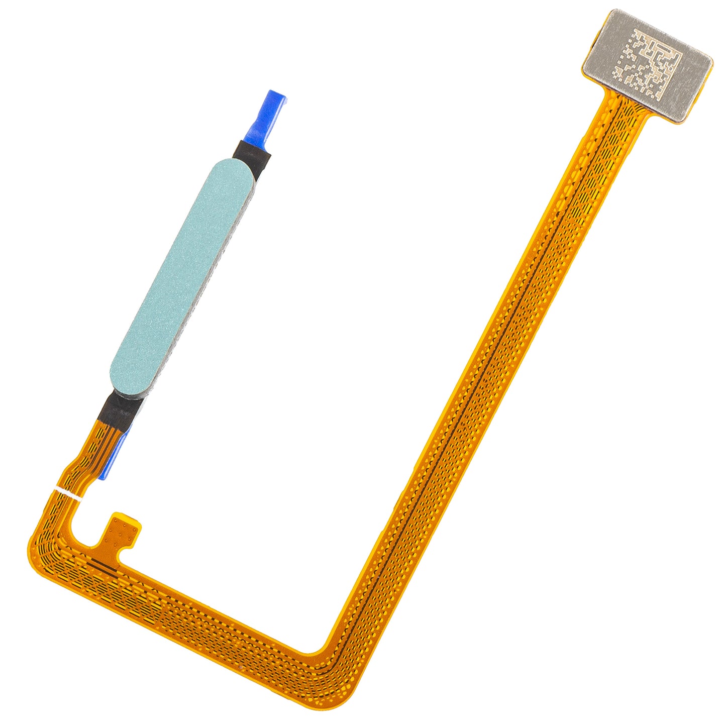 Fingeravtryckssensor Honor X5c Plus, med band, Turkos (Cyan Lake), Service Pack 9707ACFG