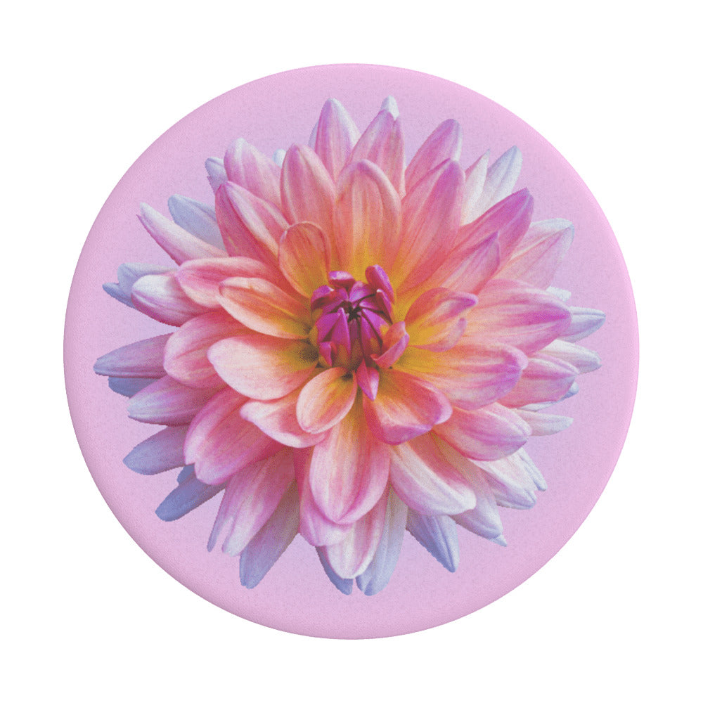PopGrip Popsockets Dahlia Icon, Flerfärgad