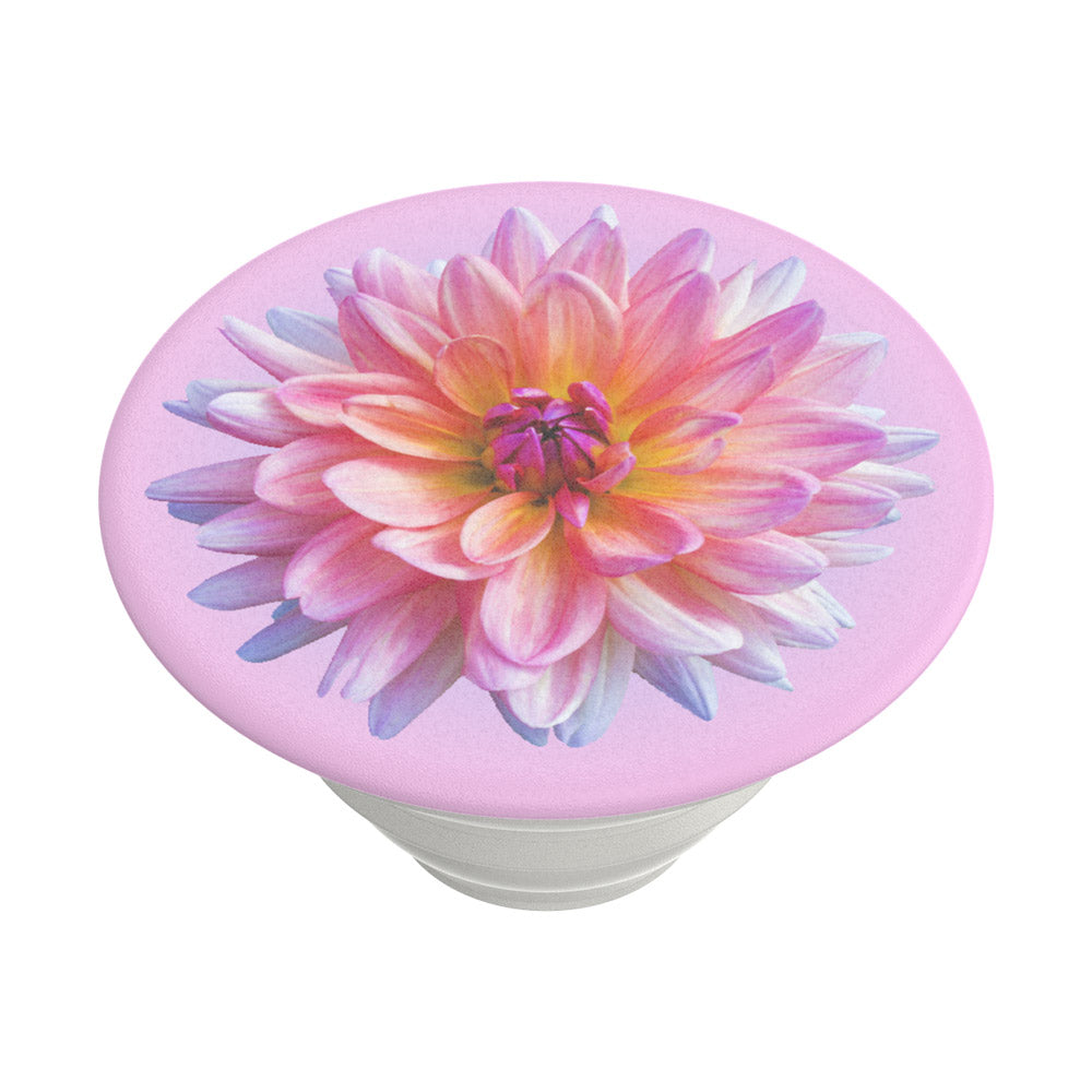 PopGrip Popsockets Dahlia Icon, Flerfärgad