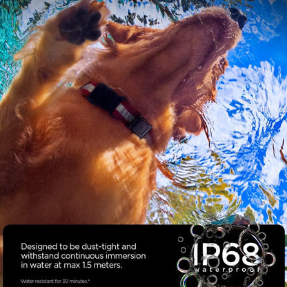 Husdjurskrage med Spigen Tough Armor hållare för Apple AirTag, Svart